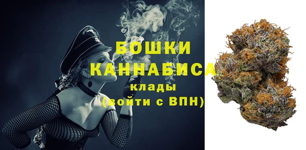амф Осташков