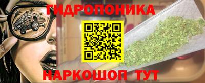 прущие грибы Апшеронск