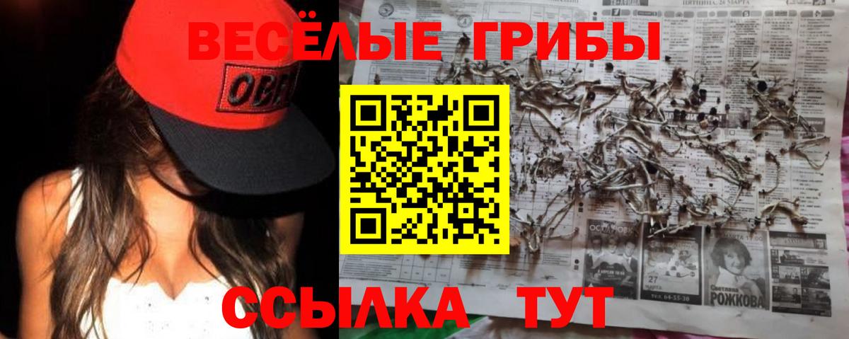 Галлюциногенные грибы Cubensis Семилуки